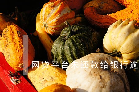 网贷平台未还款给银行逾期 网贷平台未还款给银行逾期