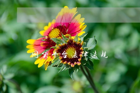 网贷平台法律法规 网贷平台法律法规