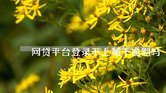 网贷平台登录不上属于逾期吗