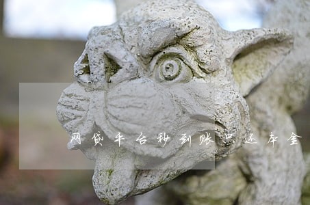 网贷平台秒到账只还本金 网贷平台秒到账只还本金