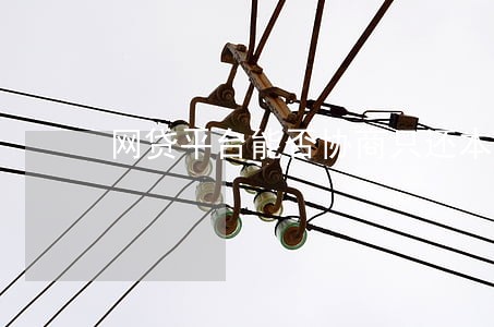 网贷平台能否协商只还本金