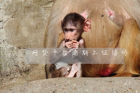 网贷平台逾期上征信吗
