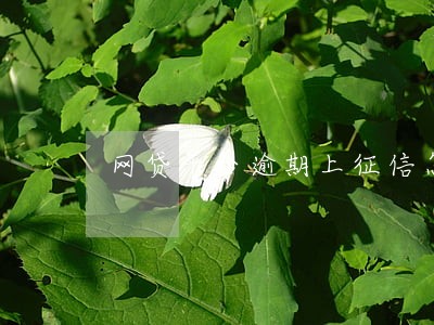 网贷平台逾期上征信怎么撤销 网贷平台逾期上征信怎么撤销