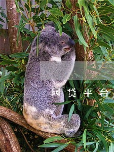 网贷平台逾期不还犯法吗 网贷平台逾期不还犯法吗