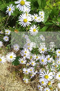 网贷平台逾期之后的处理流程 网贷平台逾期之后的处理流程