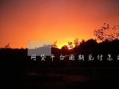 网贷平台逾期兑付怎么办 网贷平台逾期兑付怎么办