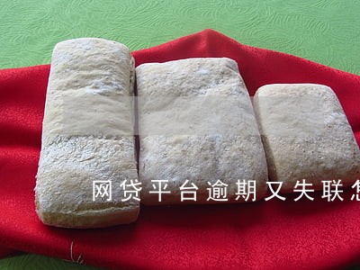 网贷平台逾期又失联怎么办 网贷平台逾期又失联怎么办
