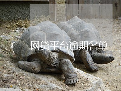 网贷平台逾期名单 网贷平台逾期名单