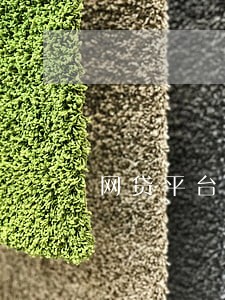 网贷平台逾期咋交费 网贷平台逾期咋交费