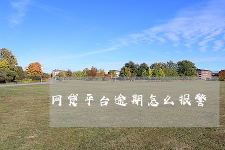 网贷平台逾期怎么报警 网贷平台逾期怎么报警