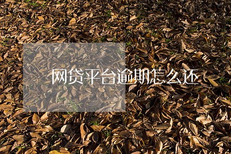 网贷平台逾期怎么还鍃 网贷平台逾期怎么还鍃