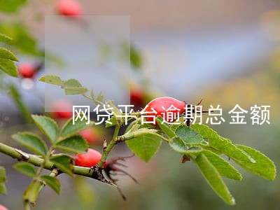 网贷平台逾期总金额 网贷平台逾期总金额