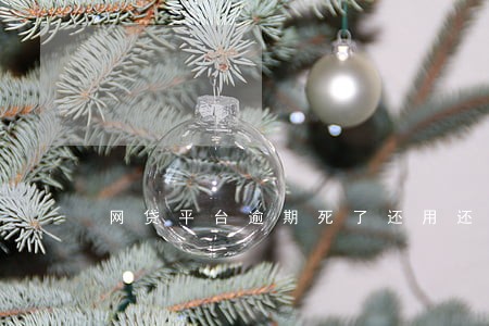 网贷平台逾期死了还用还吗 网贷平台逾期死了还用还吗