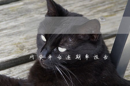 网贷平台逾期率报告 网贷平台逾期率报告