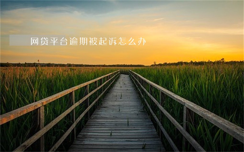 网贷平台逾期被起诉怎么办