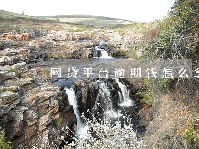 网贷平台逾期钱怎么拿回来 网贷平台逾期钱怎么拿回来