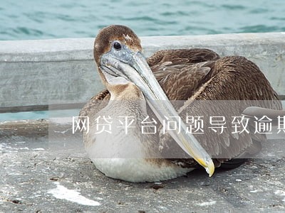网贷平台问题导致逾期 网贷平台问题导致逾期