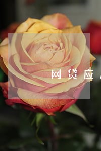 网贷应用卡逾期被起诉 网贷应用卡逾期被起诉
