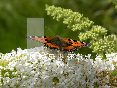 网贷延期还款一年算逾期吗 网贷延期还款一年算逾期吗