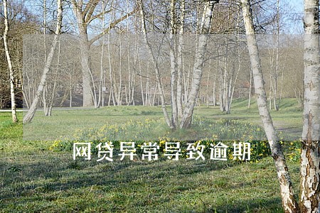 网贷异常导致逾期 网贷异常导致逾期
