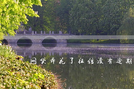 网贷弄花了征信没有逾期 网贷弄花了征信没有逾期