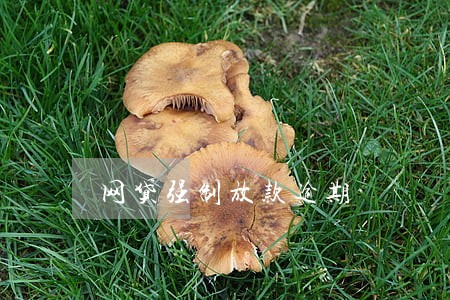 网贷强制放款逾期 网贷强制放款逾期