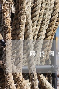 网贷强制逾期后该怎么办 网贷强制逾期后该怎么办