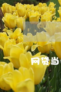 网贷当前有逾期还能贷吗 网贷当前有逾期还能贷吗