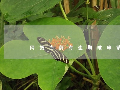 网贷当前有逾期难申请信用卡吗