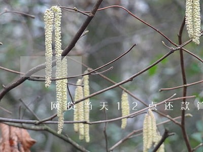 网贷当天12点还款算逾期吗 网贷当天12点还款算逾期吗
