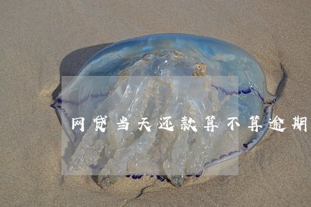 网贷当天还款算不算逾期 网贷当天还款算不算逾期