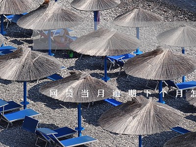 网贷当月逾期下个月怎么还 网贷当月逾期下个月怎么还