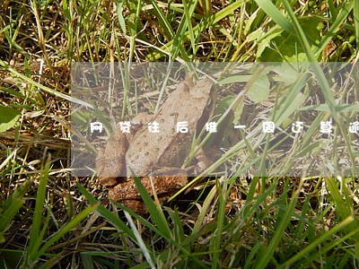网贷往后推一周还算逾期吗