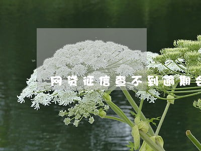 网贷征信查不到逾期会上吗 网贷征信查不到逾期会上吗