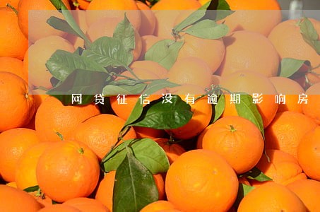 网贷征信没有逾期影响房贷吗 网贷征信没有逾期影响房贷吗
