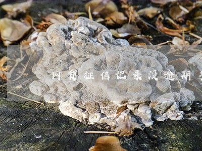 网贷征信记录没逾期多久消除 网贷征信记录没逾期多久消除