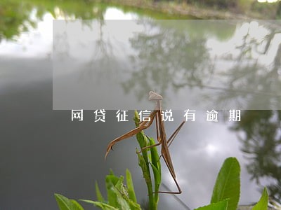 网贷征信说有逾期