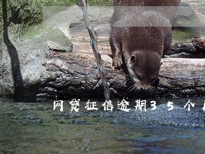 网贷征信逾期35个月 网贷征信逾期35个月