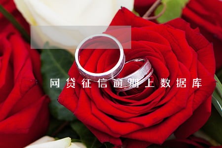 网贷征信逾期上数据库 网贷征信逾期上数据库