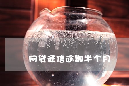 网贷征信逾期半个月 网贷征信逾期半个月