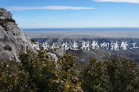网贷征信逾期影响辅警工作么 网贷征信逾期影响辅警工作么