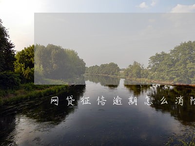 网贷征信逾期怎么消除 网贷征信逾期怎么消除