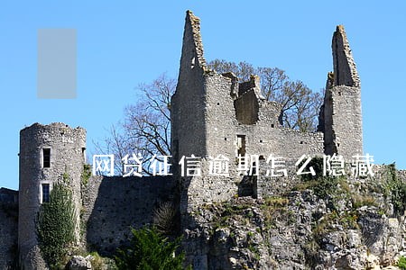 网贷征信逾期怎么隐藏