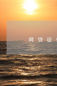 网贷征信逾期是黑户吗