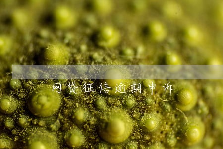 网贷征信逾期申诉 网贷征信逾期申诉