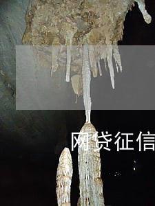 网贷征信逾期记录可以房贷吗 网贷征信逾期记录可以房贷吗