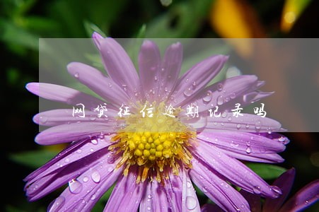 网贷征信逾期记录吗 网贷征信逾期记录吗
