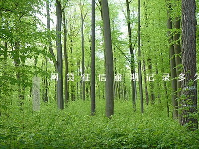 网贷征信逾期记录多久消失 网贷征信逾期记录多久消失