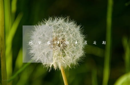 网贷很多但是没逾期 网贷很多但是没逾期