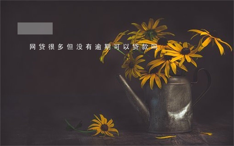 网贷很多但没有逾期可以贷款吗 网贷很多但没有逾期可以贷款吗